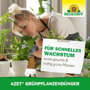 Produktbild für Dünger Neudorff Azet Grünpflanzen Dünger flüssig