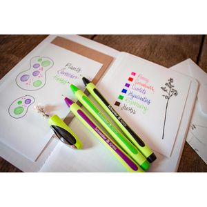Produktbild für Fineliner Schneider Xpress