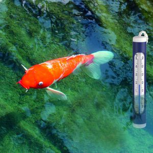 Produktbild für Poolthermometer TFA 40.2004