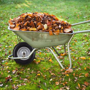 Produktbild für Schubkarrenrad Relaxdays 4.80/4.00-8, pannensicher Vollgummi