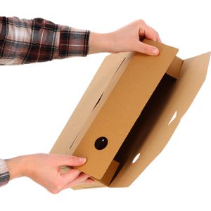 Produktbild für Archivbox Smartboxpro 226100310, A4