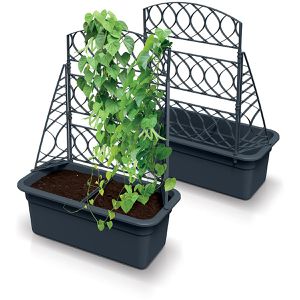 Produktbild für Pflanzkasten Prosperplast Bloma anthrazit