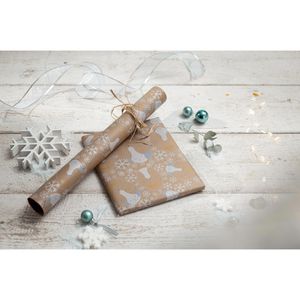 Produktbild für Geschenkpapier Sigel GP120, Polar bear with shooting star