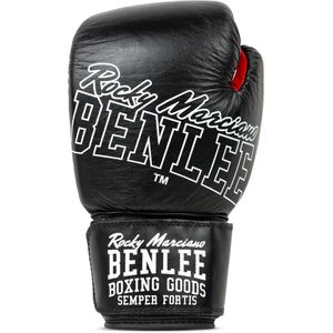 Produktbild für Boxhandschuhe BENLEE Rockland, schwarz/weiß, für Erwachsene
