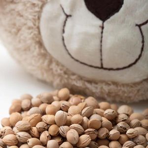 Produktbild für Wärmekissen GRÜNSPECHT Bär, 22 x 22 cm, mit Kirschkernen