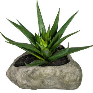 Produktbild für Kunstpflanze Creativ-green Sukkulenten-Mix