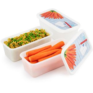 Produktbild für Frischhaltedose Rotho Domino, aus Kunststoff