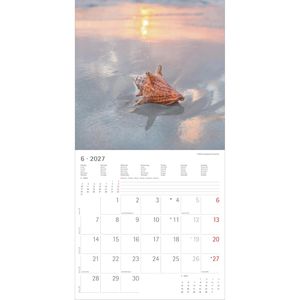 Produktbild für Bildkalender Alpha 105901, Summer Dreams, Jahr 2027