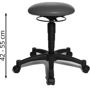 Produktbild für Fitness-Hocker Topstar Body Balance 10, BAL10 S12
