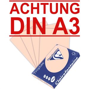 Produktbild für Kopierpapier Clairefontaine Trophée 1031RC, A3