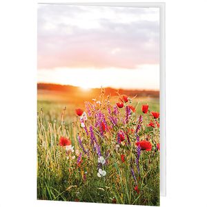Produktbild für Grußkarten Böttcher-AG Blumenwiese