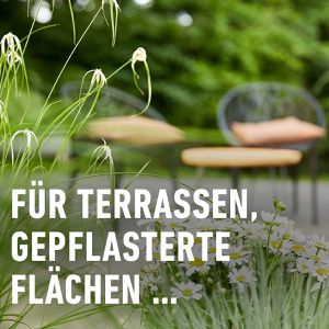 Produktbild für Grundstoff Compo Bio Essig, Konzentrat
