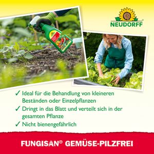 Produktbild für Fungizid Neudorff Fungisan Gemüse-Pilzfrei, anwendungsfertig