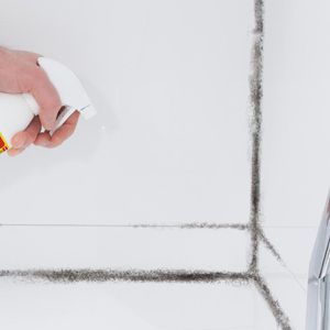 Produktbild für Schimmelentferner HG 632050105, Vernichter Schaumspray