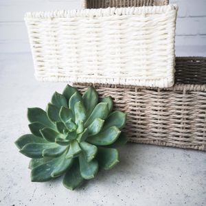 Produktbild für Aufbewahrungskorb Zeller 18095, Set