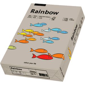 Produktbild für Kopierpapier Papyrus Rainbow 88376531