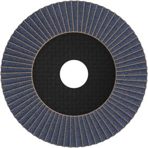 Produktbild für Fächerschleifscheibe Bosch PRO X571