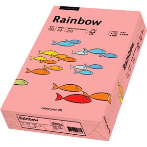 Produktbild für Kopierpapier Papyrus Rainbow 88042549