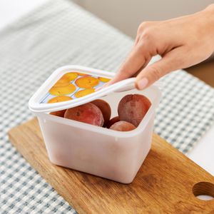 Produktbild für Frischhaltedose Rotho Domino, aus Kunststoff