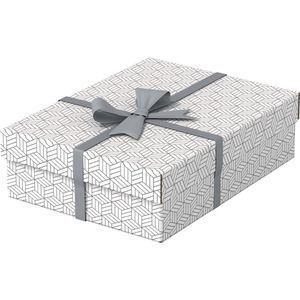 Produktbild für Aufbewahrungsbox Esselte Home M flach 628284, 9L