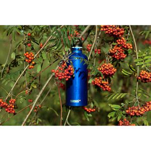 Produktbild für Trinkflasche SIGG Traveller Dark Blue