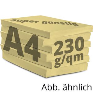 Produktbild für Kopierpapier Papyrus Rainbow 88376504