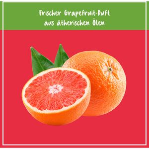 Produktbild für Allzweckreiniger Poliboy NCP