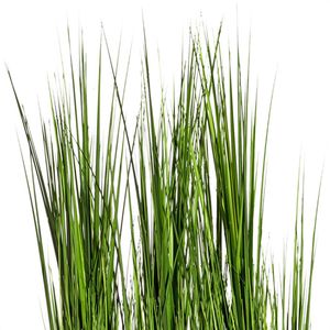 Produktbild für Kunstpflanze Creativ-green Gras Raumteiler