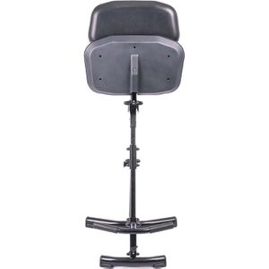 Produktbild für Stehhilfe meychair PRO+ AF30-SR-AH-01010