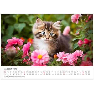 Produktbild für Bildkalender Edition-Seidel 31069, Süße Katzen, Jahr 2027