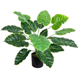 Decovego Kunstpflanze Aronstab Araceae Arum Taro, im Topf, Höhe 60 cm