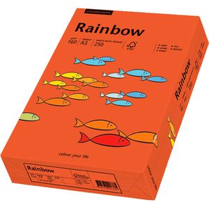 Produktbild für Kopierpapier Papyrus Rainbow 88042462