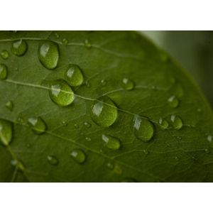 Produktbild für Textilimprägnierung bionicdry Einwasch Imprägnierer