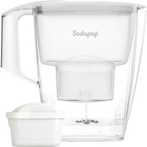 Wasserfilter-Kanne