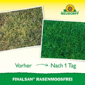 Produktbild für Moosvernichter Neudorff Finalsan RasenMoosfrei, Konzentrat