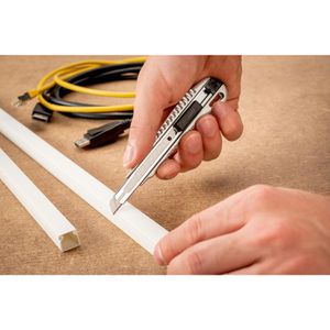 Produktbild für Cuttermesser Dahle Professional, 10880