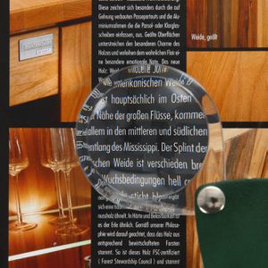 Produktbild für Lupe Eschenbach 1740250