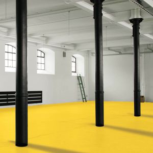 Produktbild für Straßenmarkierungsfarbe Moravia 263.25.624 PROline-paint