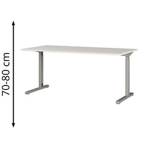 Produktbild für Schreibtisch Germania Profi 3.0, 4252-583, lichtgrau / silber