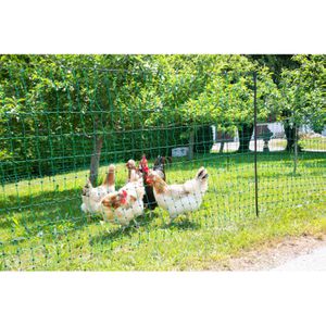 Produktbild für Weidezaunnetz Kerbl PoultryNet 292272, Geflügelnetz