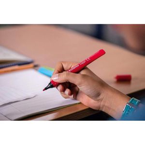 Produktbild für Filzstifte Stabilo Cappi 168/24-4