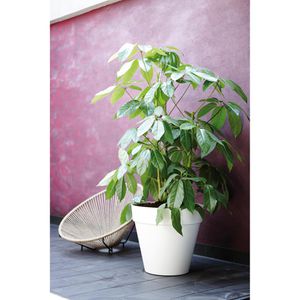 Produktbild für Pflanztopf elho Loft Urban rund Rollen, 24 Liter