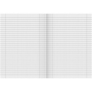 Produktbild für Schulheft Brunnen 104492902, ab. 5. Klasse, A4
