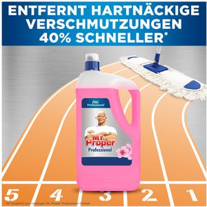 Produktbild für Allzweckreiniger Meister-Proper Professional, Cherry