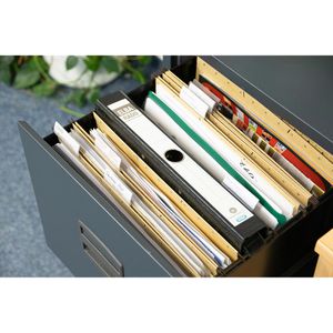 Produktbild für Hängeordner Elba 81414, rado, A4