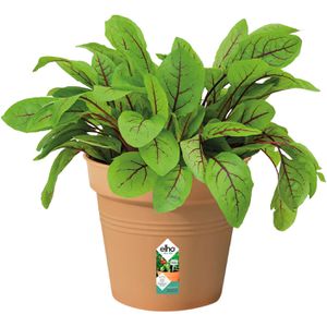 Produktbild für Pflanztopf elho Green Basics, 1 Liter