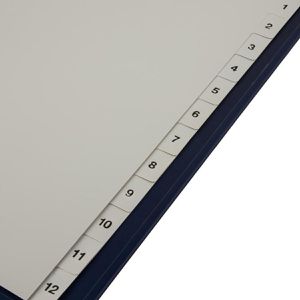 Produktbild für Register Böttcher-AG Premium, A4 Überbreite, 1-12