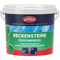 beckensteine