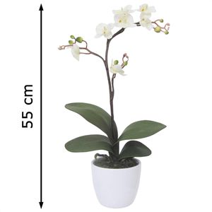 Produktbild für Kunstblume Creativ-green Orchidee, Phalaenopsis