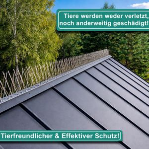 Produktbild für Vogelabwehr PRIOstahl Taubenspikes, 10 Meter